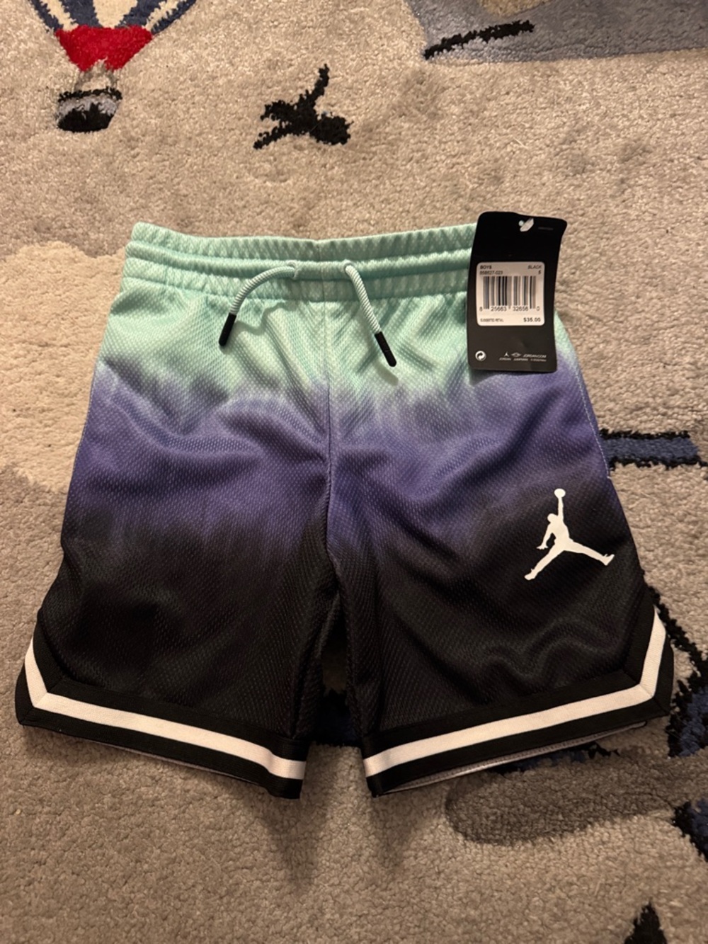 Jordan Gradient Athletic Shorts in Mint, Purple, Black